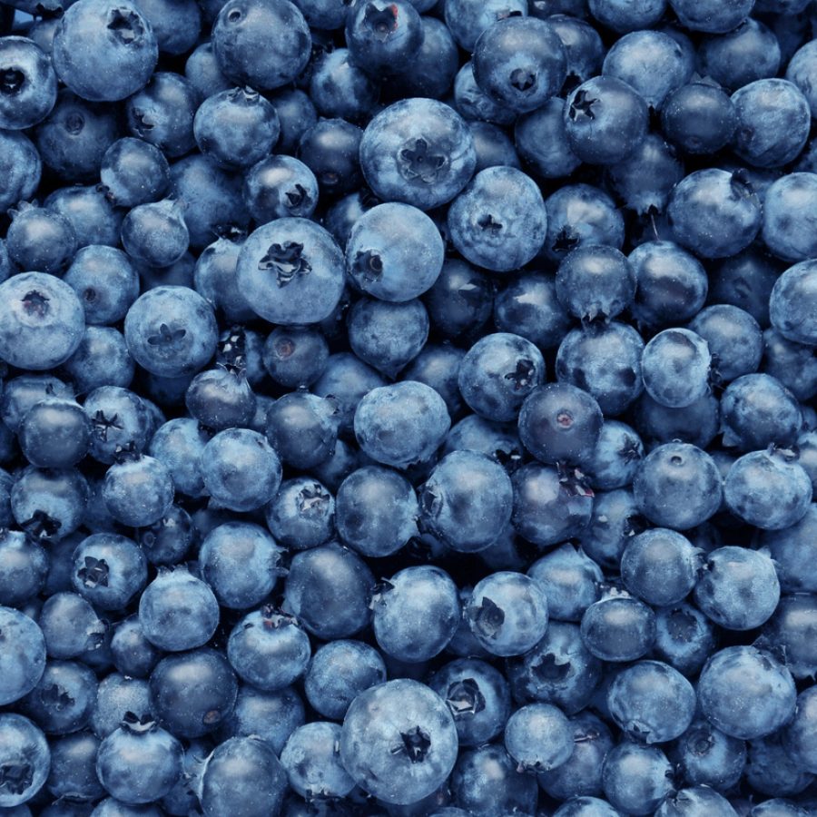 Blueberries